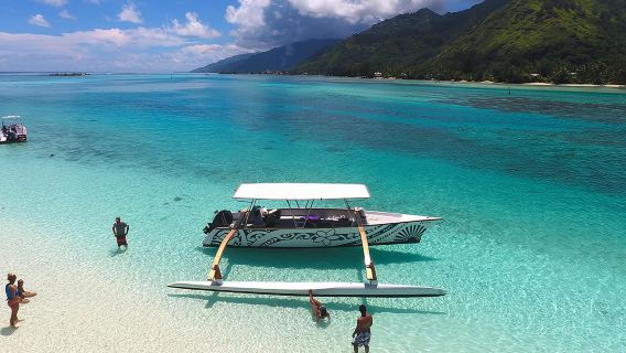 Excursión compartida de 6 horas de esnórquel y almuerzo en Moorea