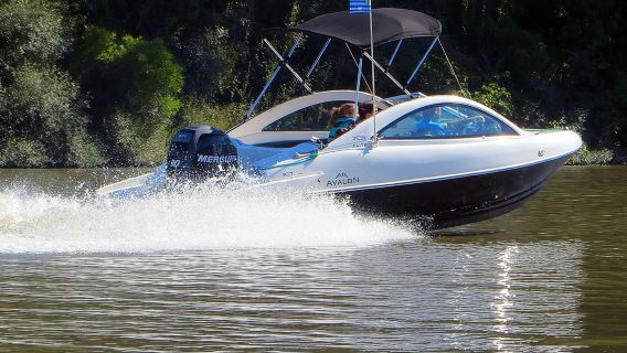 Tigre Speedboat - The Delta s Captain - CITYSAILING TIGRE