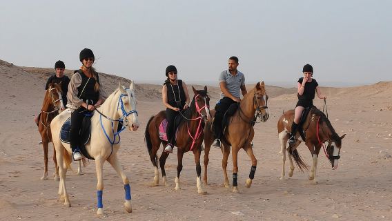 Paseo a caballo de 1 hora y aventura en jeep con observación de estrellas - Hurghada