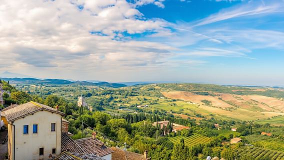 The essence of Tuscany tour with wine tasting and lunch
