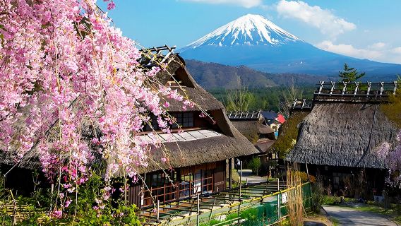 Tokyo Mount Fuji West Lake Gassho Village, Kawaguchiko, Oshino Hakkai one-day tour, Free Gassho Village admission ticket