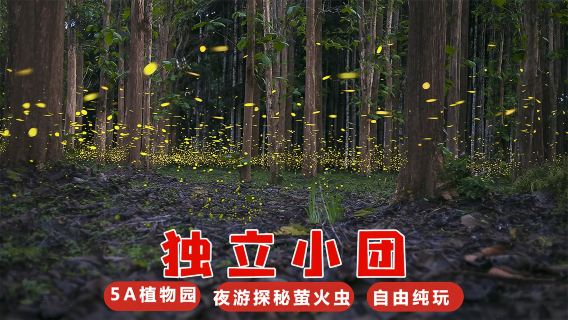 中國科學院西雙版納熱帶植物園日遊+夜遊螢火蟲