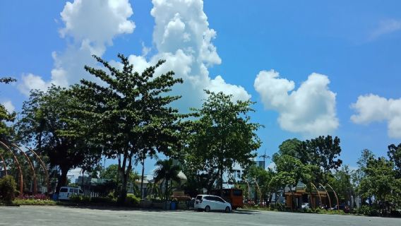 Half-day tour Bintan Island hotel Private car tour car Pier Hotel car Private car tour pick-up