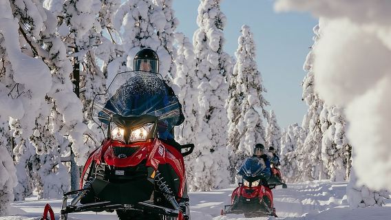 Doppelabenteuer mit Schneemobil und Schlitten in Lappland, Rovaniemi, Finnland (Englischsprachige Tour, 4 Stunden)