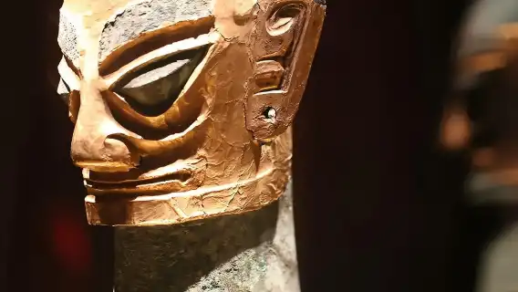 Chengdu Private 1-Day Tour: Panda Base + Sanxingdui/Jinsha Site Museum Choose One