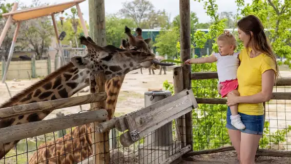 ZooTampa at Lowry Park: Fast Track Ticket