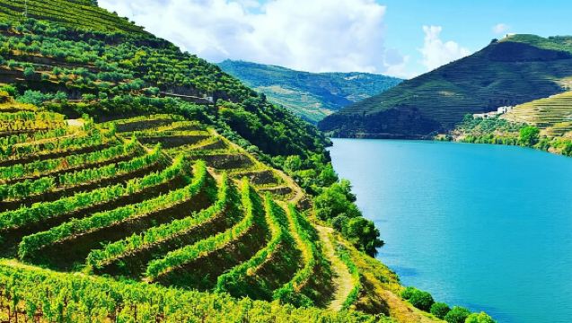ทัวร์อาหารและไวน์ส่วนตัวในหุบเขาดูโรจากปอร์โต
