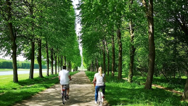 베르사유 자전거 투어: 시장, 정원 및 궁전 가이드 투어 포함