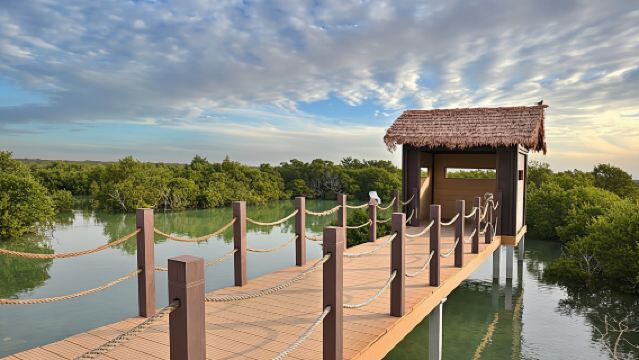 カタール北部半日ツアー:アルズバラ、パープルアイランド&マングローブ