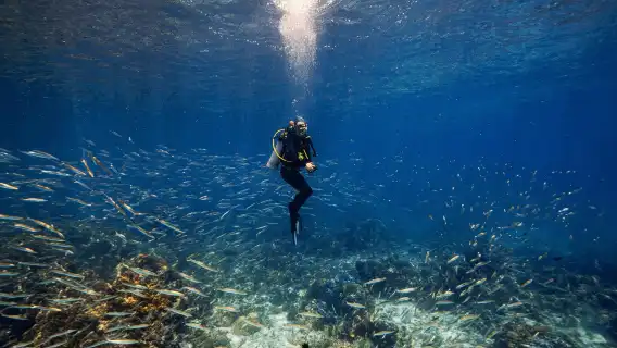 泰國普吉島體驗潛水水肺潛水 1 天【皇帝島快艇深潛一日遊｜深潛 1 次 ＋ 雙島遊｜0 基礎不會游泳都可潛】