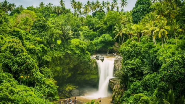 烏布包車一日遊：聖猴森林公園+洞穴瀑布+烏布皇宮+烏布市場