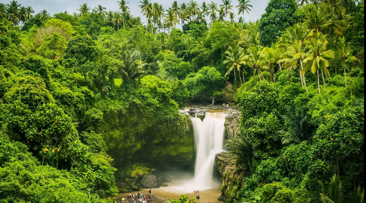 烏布包車一日遊：聖猴森林公園+洞穴瀑布+烏布皇宮+烏布市場
