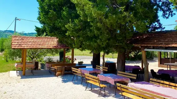 Half-Day Wine and Food Tasting from Dubrovnik