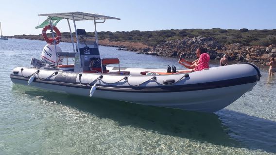 Porto Torres: Dinghy trip to the Asinara National Park with aperitif