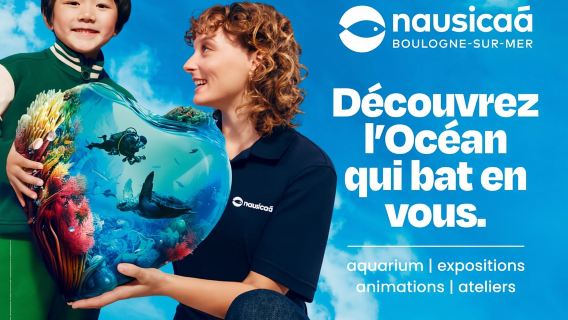 Nausicaá National Sea Center: Full-Day Entry Ticket