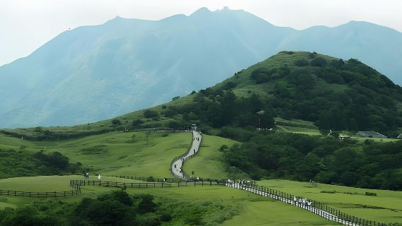 台灣台北+陽明山+金山老街+跳石車站+珊瑚貝殼廟+漁人碼頭