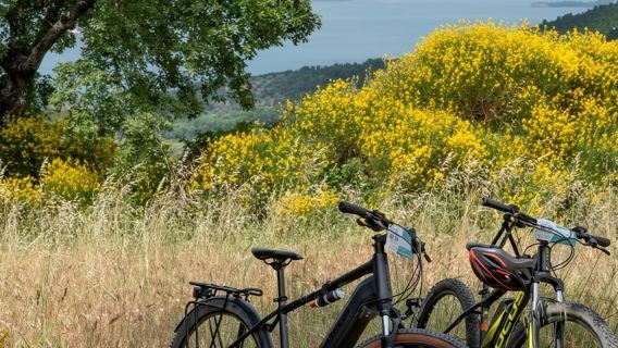Recorrido en bicicleta eléctrica por el lago de Bolsena y la Vía Francigena