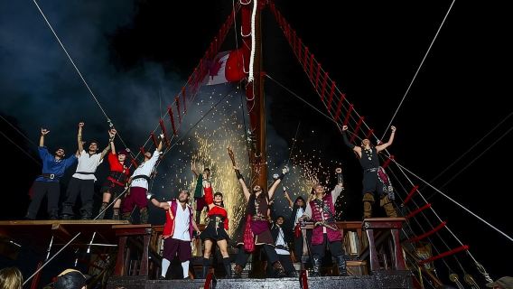 Puerto Vallarta: una notte e uno spettacolo indimenticabili