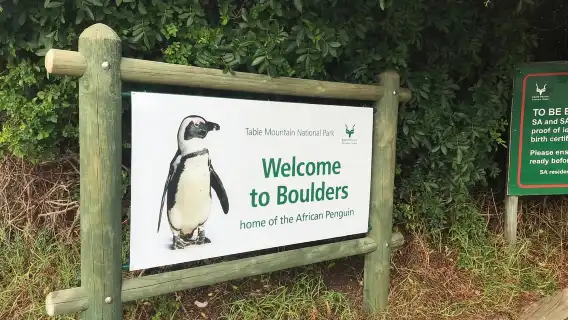 Cape Town: ทัวร์กลุ่ม Shairing บนคาบสมุทร Cape Peninsula ครึ่งวัน