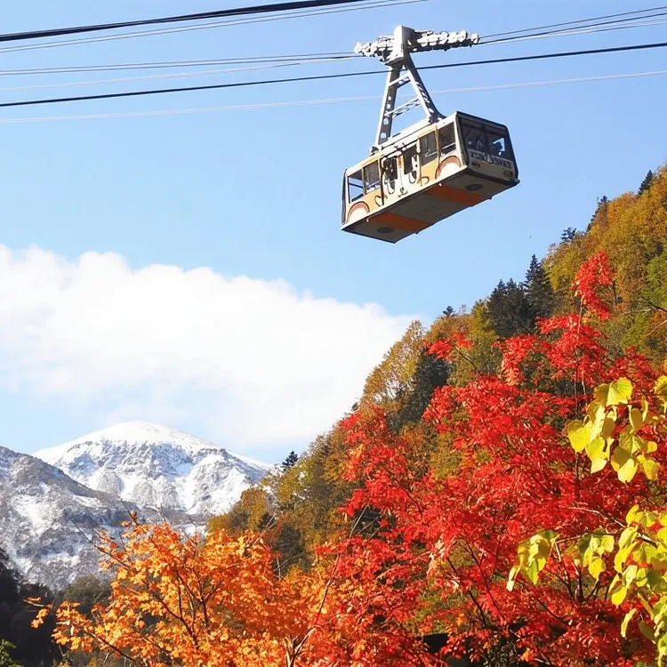 Hokkaido│Kurodake Ropeway, Asahiyama Zoo Autumn Leaves Tour