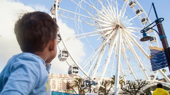 Cape Town ตั๋วผ่านเมือง Citypass: ประหยัดกว่า 50% สำหรับสถานที่ท่องเที่ยวยอดนิยมกว่า 80 แห่ง