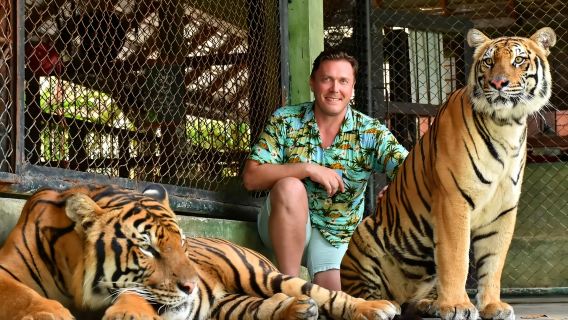 Phuket Tiger Kingdom [Big Cat Petting|Parent-child interaction|Special car pick-up
