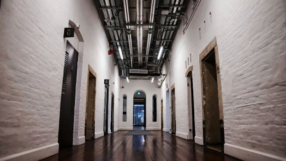 Authentic Hong Kong Half-day Tour|Hong Kong at Night [Tai Kwun + Victoria Peak]