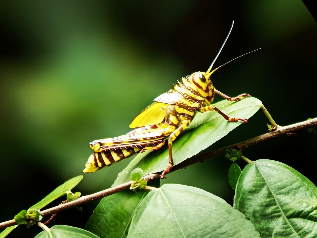 Quepos: Manuel Antonio National Park Guided Tour