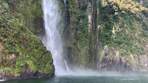 紐西蘭皇后鎮包車來回 米爾福德灣 暢遊南北島 私人專享