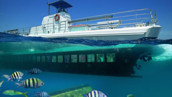 Aruba Semi-Submarine Cruise from Palm Beach