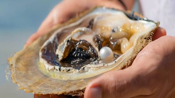 Exploring Cygnet Bay - Full Day Tour