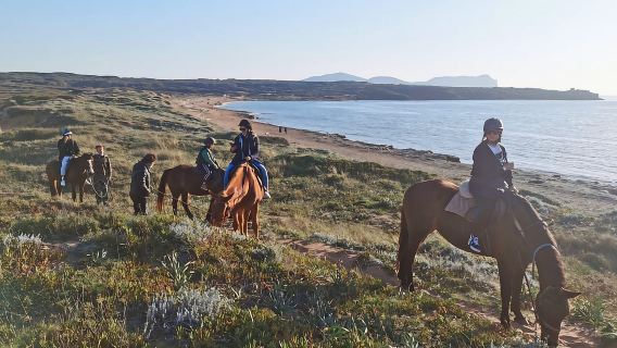 Альгеро: конные прогулки для опытных на озере Барац