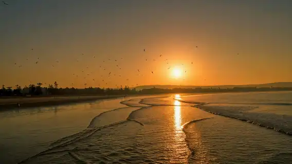 Private Transfer: Marrakech to Essaouira (Door-to-Door)