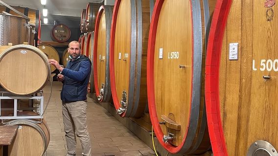 Tour di un giorno intero del vino Barolo e Barbaresco da Torino con un produttore locale