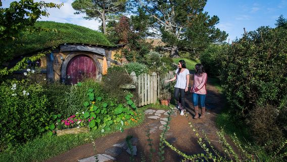 AucklandTours
