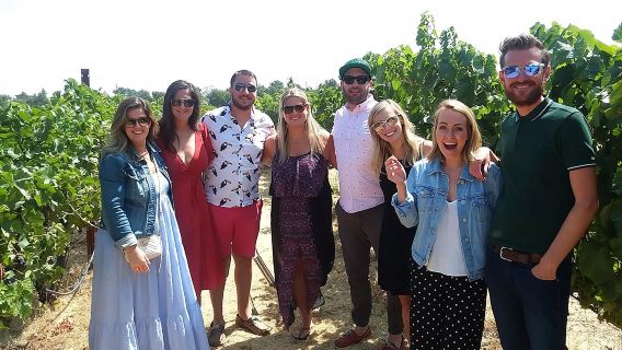 Small-Group Wine Country Tour from San Francisco with Tastings