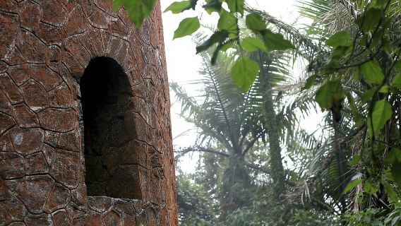 Entdecken Sie den El Yunque Nationalpark: Halbtägige Regenwaldtour