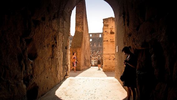 Colosseum Arena Floor, Roman Forum and Palatine Hill Guided Tour