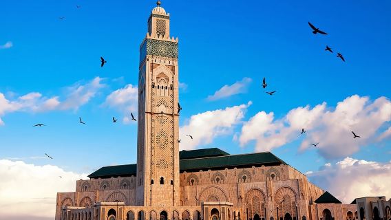 Экскурсия по Касабланке с круиза или из отеля, экскурсия с гидом.