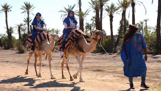 Palmeraie camel ride from Marrakech with tea break