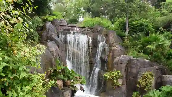 美國舊金山金門公園+九曲花街+漁人碼頭+斐洛里莊園一日遊