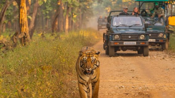NepalganjTravel Services