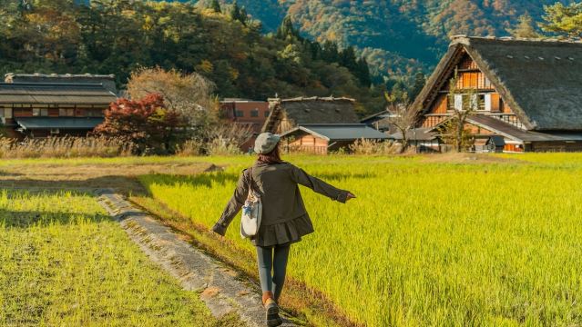 Shirakawa-go Day Tour