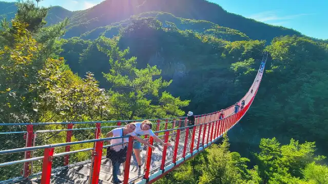 非軍事區之旅：第三隧道，可選路線（懸索橋、乘船）從首爾出發