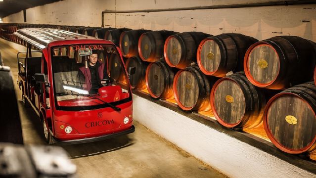 Best of Moldau: Cricova Weingut & Tour durch Alt-Orhei inklusive Kloster Curchi