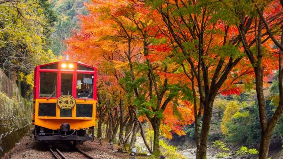 Tur Sehari ke Arashiyama Kyoto dan Kuil Sanzen-in dari Osaka dan Kyoto: Jalan-jalan di Hutan Bambu dan Lihat Lumut yang Berkilauan