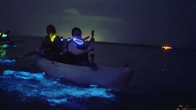 Florida Bioluminescence Kayaking Tour (Titusville)