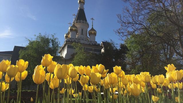Tur Jalan Kota Pribadi di Sofia