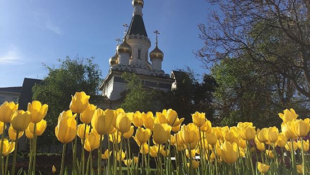 Пешая экскурсия по Софии с частным гидом