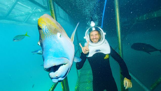凱恩斯 魔幻麗礁號ReefMagic夢幻麗礁大堡礁一日遊含餐